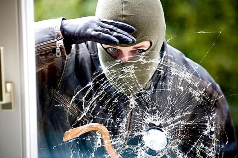 Xpel Security A Security Guard Examines The Shattered Glass And Snake