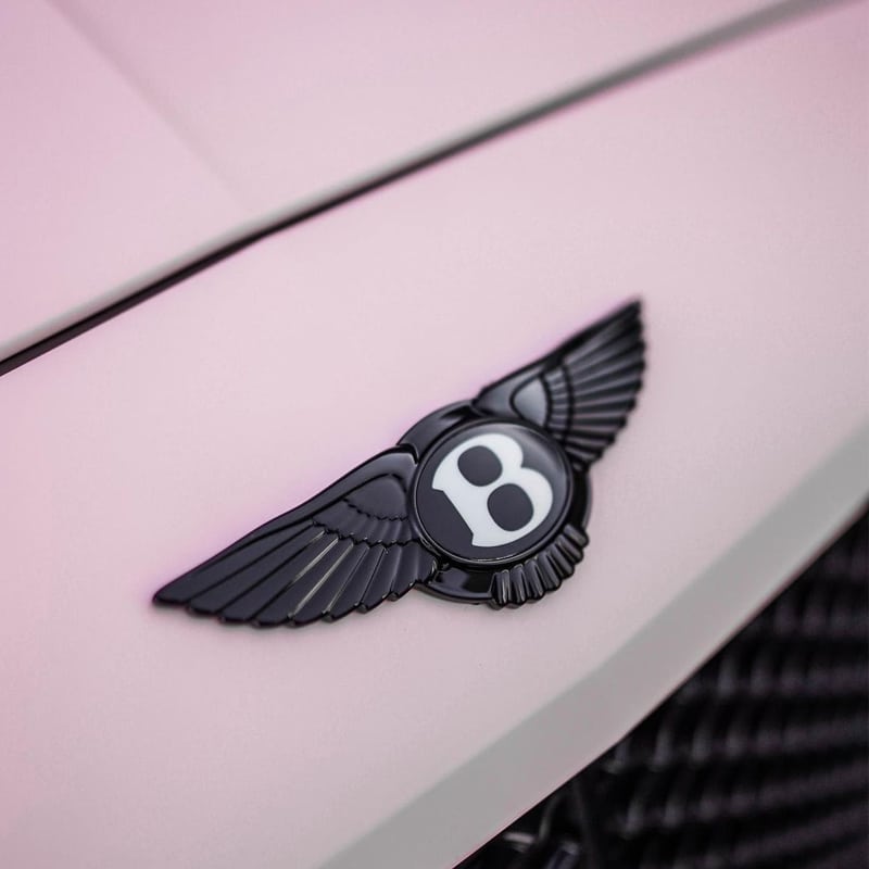 Bently Continental GT Supersport - Matte Powder Pink 5