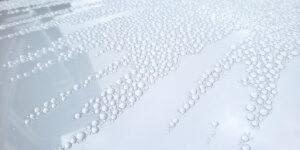 Water beads shown on hood of a car coated with Revivify ceramic coating in Richmond by Speed Projects Laboratory